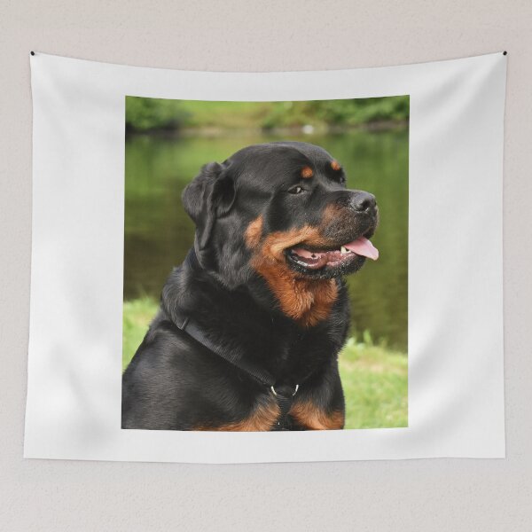 Item preview, Chubby Rottweiler Dog Looking Funny designed and sold by VanGaldo.