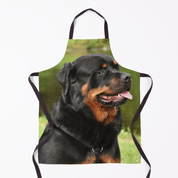 Item preview, Chubby Rottweiler Dog Looking Funny designed and sold by VanGaldo.