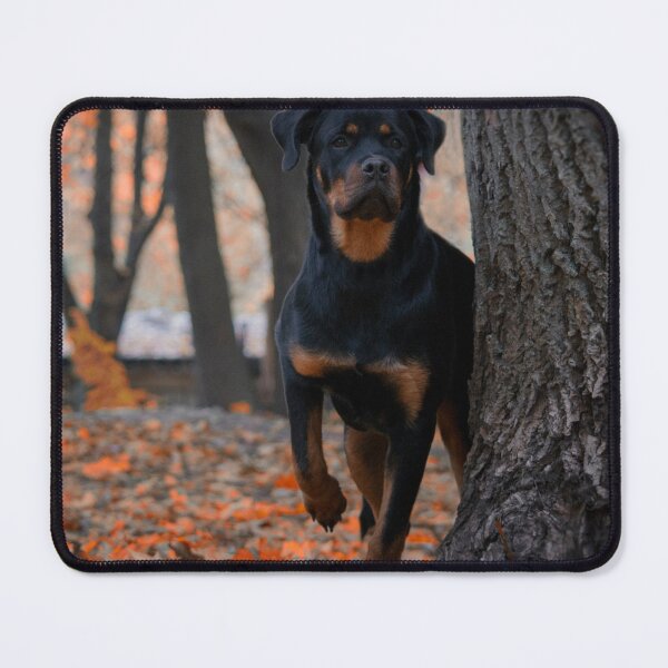 Item preview, Rottweiler Dog Hiding Beside Tree designed and sold by VanGaldo.