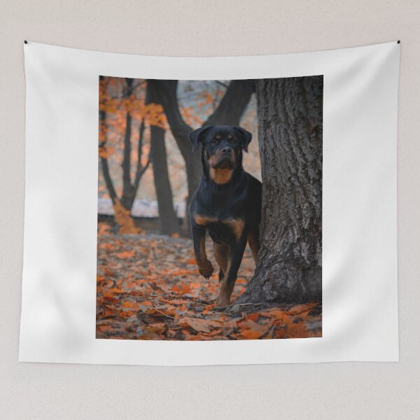 Item preview, Rottweiler Dog Hiding Beside Tree designed and sold by VanGaldo.