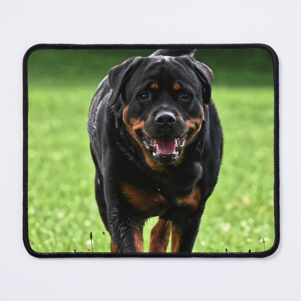 Item preview, Rottweiler Dog Running on the Field designed and sold by VanGaldo.