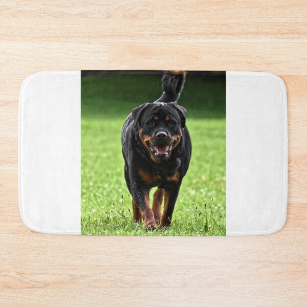 Item preview, Rottweiler Dog Running on the Field designed and sold by VanGaldo.