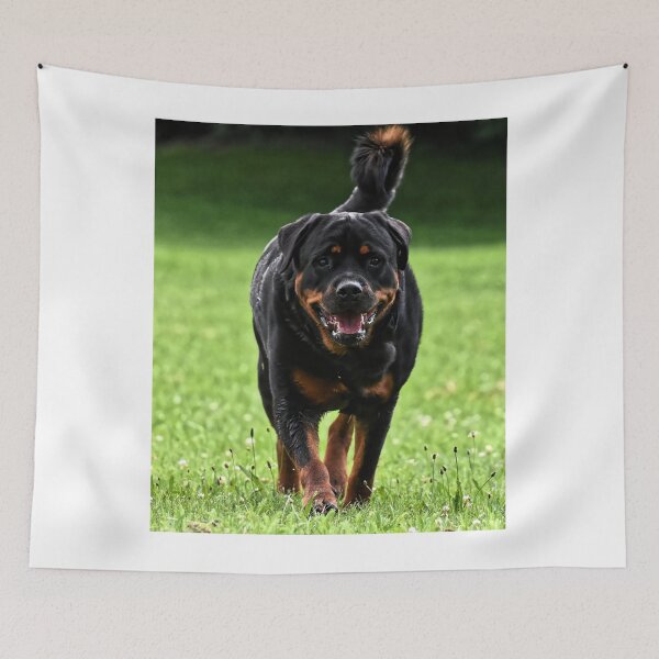 Item preview, Rottweiler Dog Running on the Field designed and sold by VanGaldo.