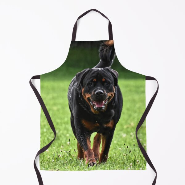 Item preview, Rottweiler Dog Running on the Field designed and sold by VanGaldo.
