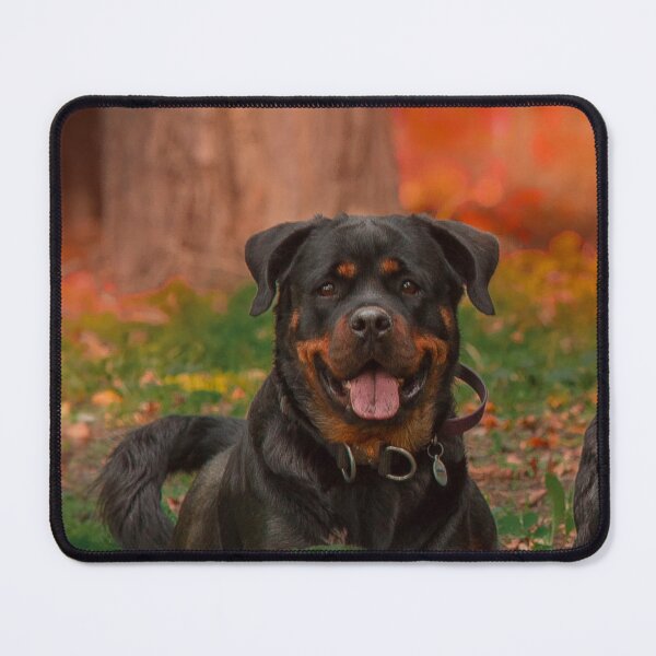 Item preview, Rottweiler Dog Loves Wandering in Forest designed and sold by VanGaldo.