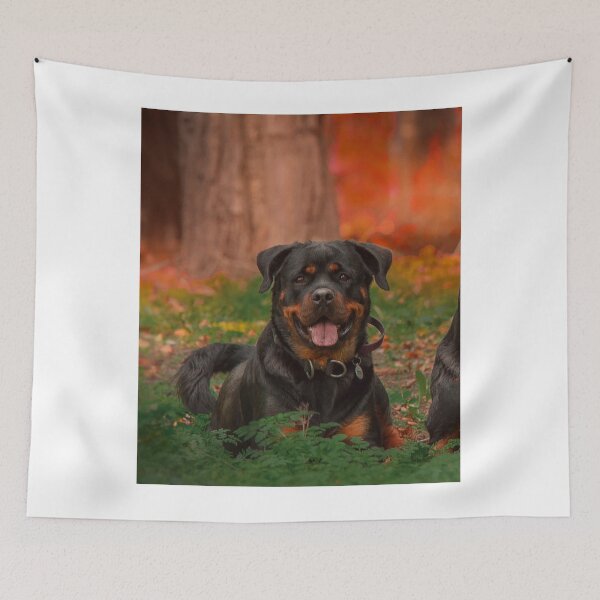 Item preview, Rottweiler Dog Loves Wandering in Forest designed and sold by VanGaldo.