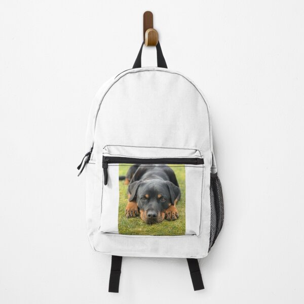 Item preview, Calm and Tired Rottweiler Dog designed and sold by VanGaldo.