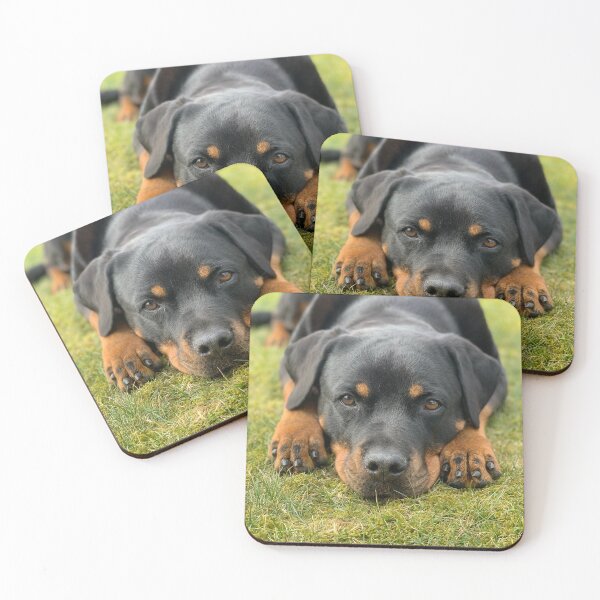 Item preview, Calm and Tired Rottweiler Dog  designed and sold by VanGaldo.