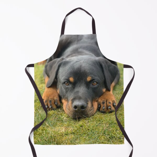 Item preview, Calm and Tired Rottweiler Dog  designed and sold by VanGaldo.
