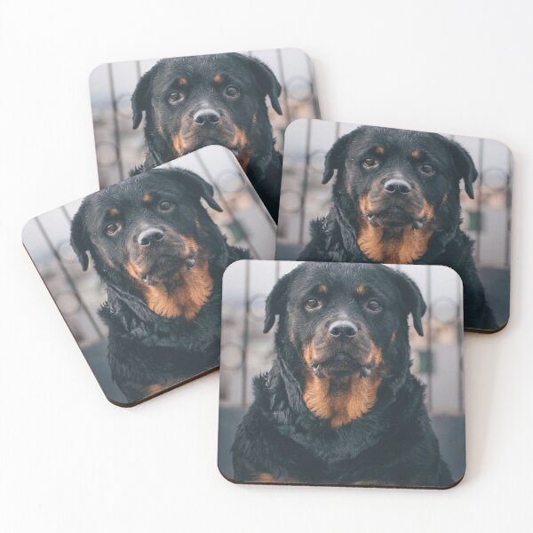 Item preview, Serious Looking Rottweiler Dog designed and sold by VanGaldo.