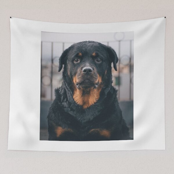 Item preview, Serious Looking Rottweiler Dog designed and sold by VanGaldo.