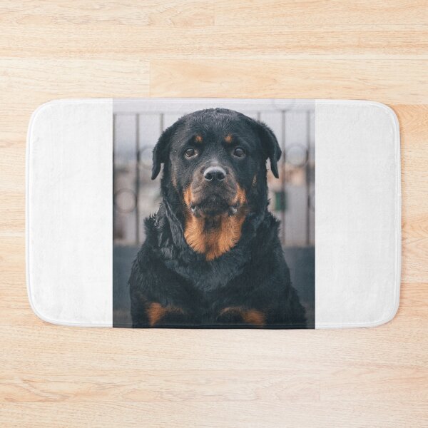 Item preview, Serious Looking Rottweiler Dog designed and sold by VanGaldo.
