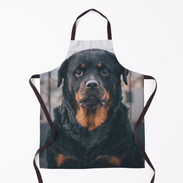 Item preview, Serious Looking Rottweiler Dog designed and sold by VanGaldo.