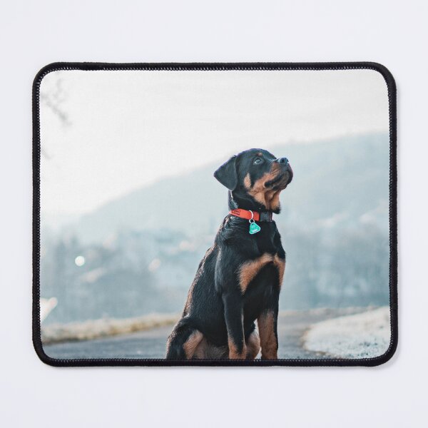 Item preview, Rottweiler Puppy Sitting on the Road designed and sold by VanGaldo.