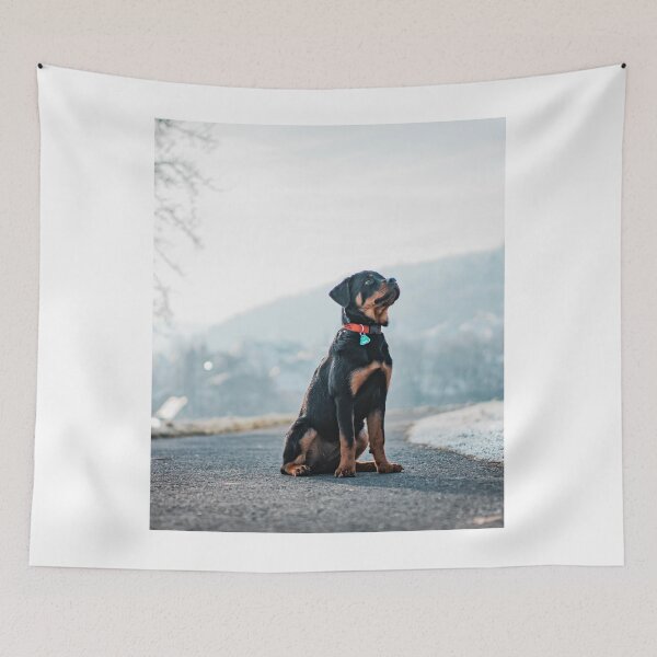 Item preview, Rottweiler Puppy Sitting on the Road designed and sold by VanGaldo.