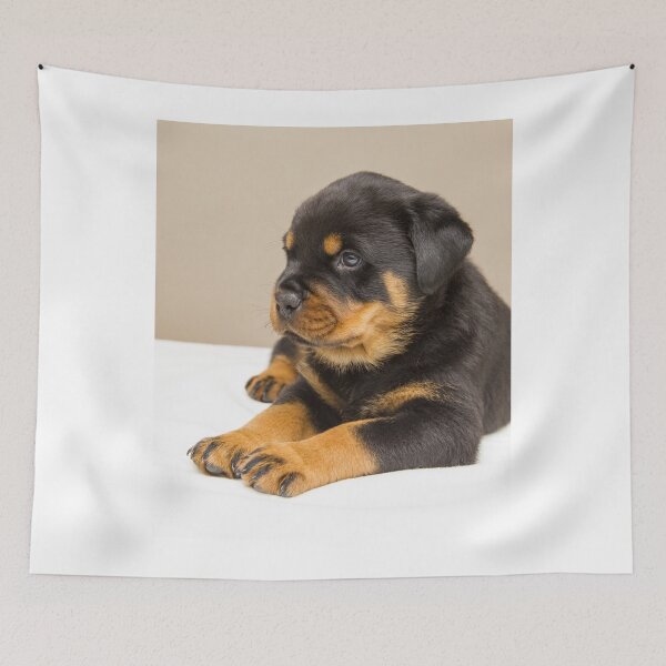 Item preview, Picture of Cute Rottweiler Puppy designed and sold by VanGaldo.
