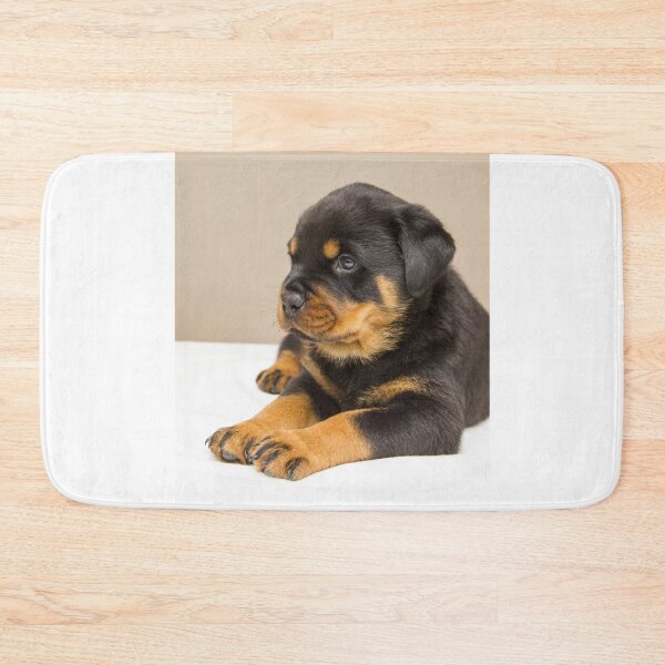 Item preview, Picture of Cute Rottweiler Puppy designed and sold by VanGaldo.
