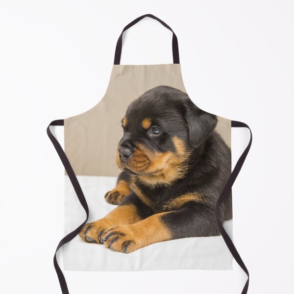 Item preview, Picture of Cute Rottweiler Puppy designed and sold by VanGaldo.