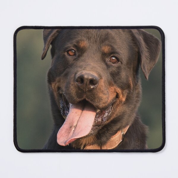 Item preview, Funny Rottweiler Dog designed and sold by VanGaldo.