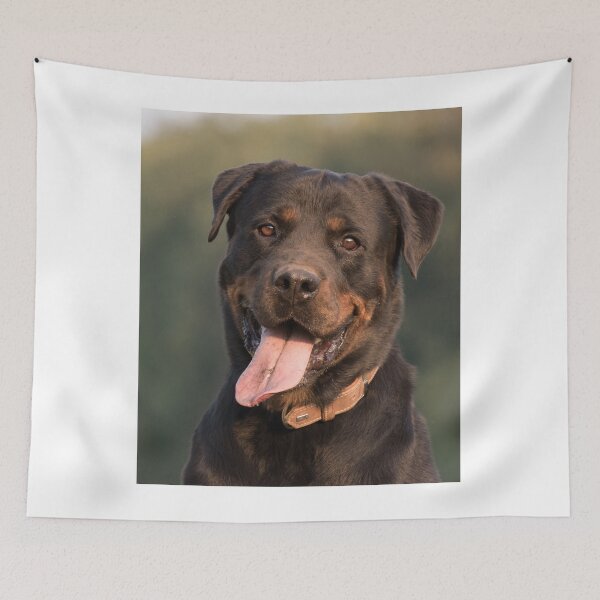 Item preview, Funny Rottweiler Dog designed and sold by VanGaldo.