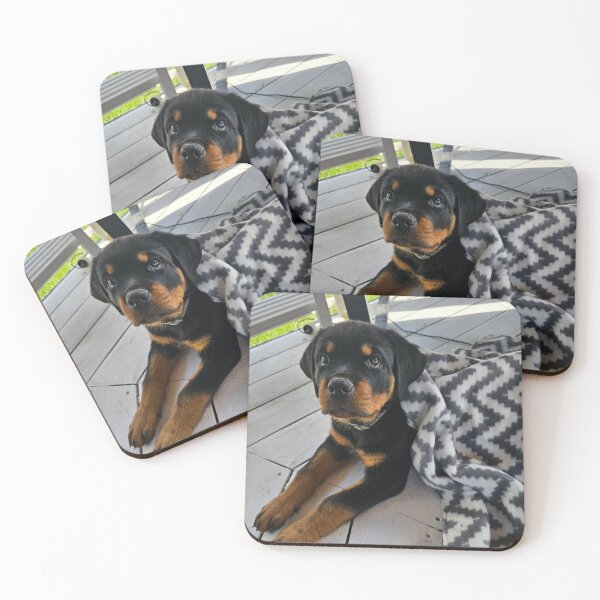 Item preview, Cute Rottweiler Puppy Loves the Blanket designed and sold by VanGaldo.