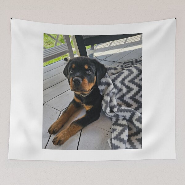 Item preview, Cute Rottweiler Puppy Loves the Blanket designed and sold by VanGaldo.