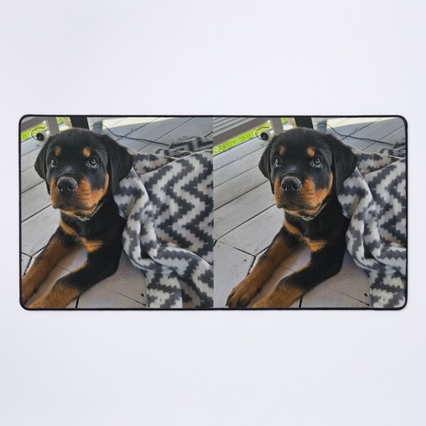 Item preview, Cute Rottweiler Puppy Loves the Blanket designed and sold by VanGaldo.