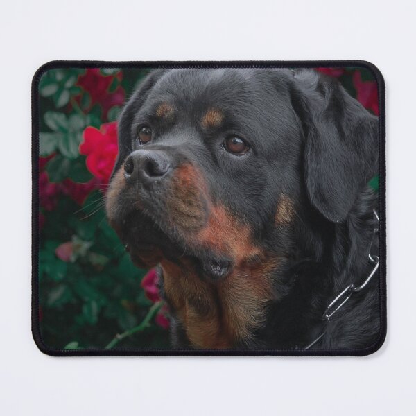 Item preview, Beautiful Rottweiler Dog with Roses Background designed and sold by VanGaldo.