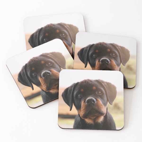 Item preview, Curious Rottweiler Puppy  designed and sold by VanGaldo.