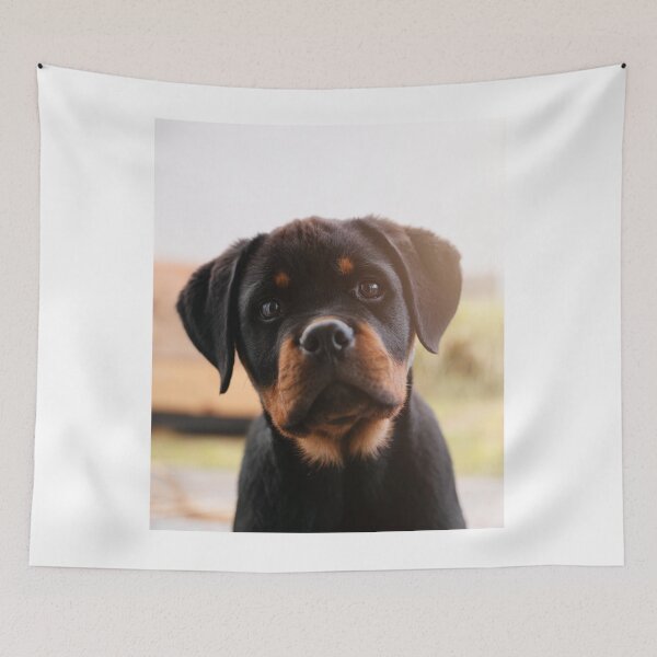 Item preview, Curious Rottweiler Puppy  designed and sold by VanGaldo.