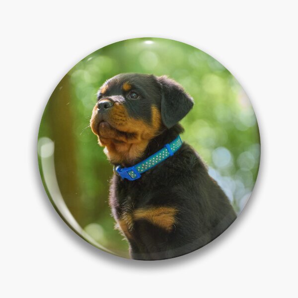 Item preview, Rottweiler Puppy Loves Observing designed and sold by VanGaldo.
