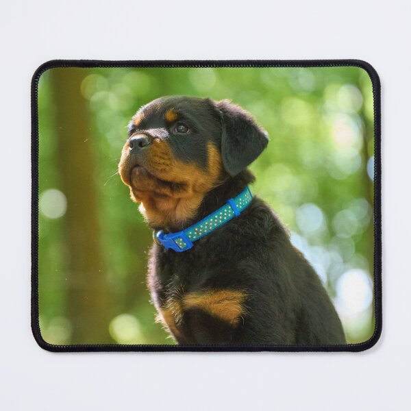 Item preview, Rottweiler Puppy Loves Observing designed and sold by VanGaldo.