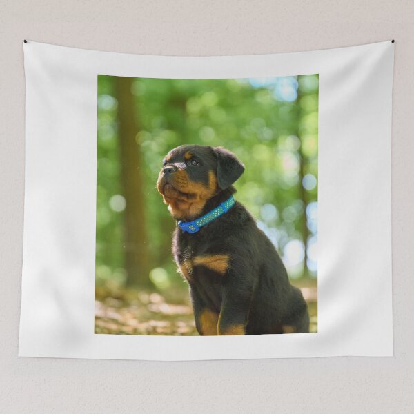 Item preview, Rottweiler Puppy Loves Observing designed and sold by VanGaldo.