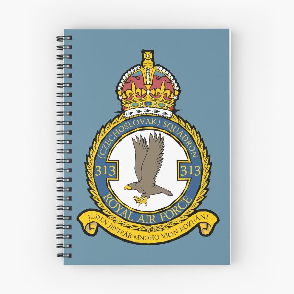 Item preview, 313th (Czechoslovak) Squadron, Royal Air Force designed and sold by Born (to be) Wild.