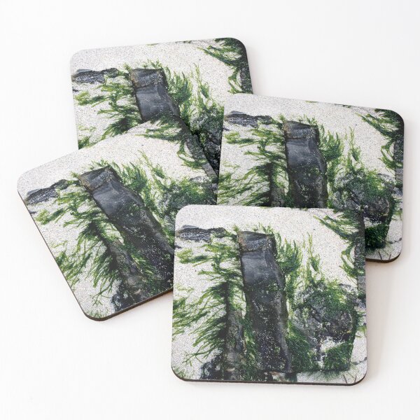 Item preview, Sea Art, Sea Weed on Granite, Gutweed, Grass Kelp designed and sold by CharlottePlaceArt.