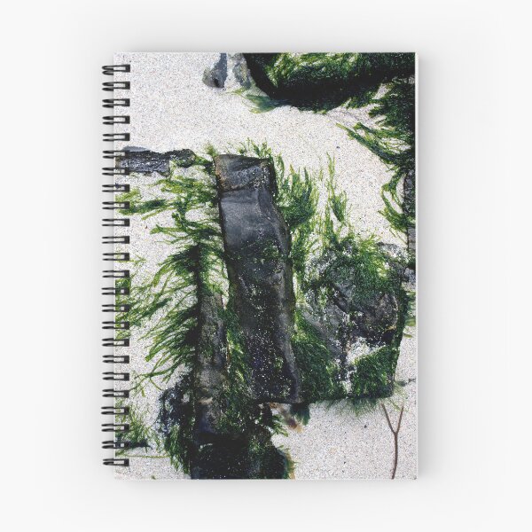 Item preview, Sea Art, Sea Weed on Granite, Gutweed, Grass Kelp designed and sold by CharlottePlaceArt.