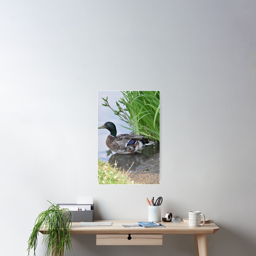 Item preview, Poster designed and sold by cmcheng.