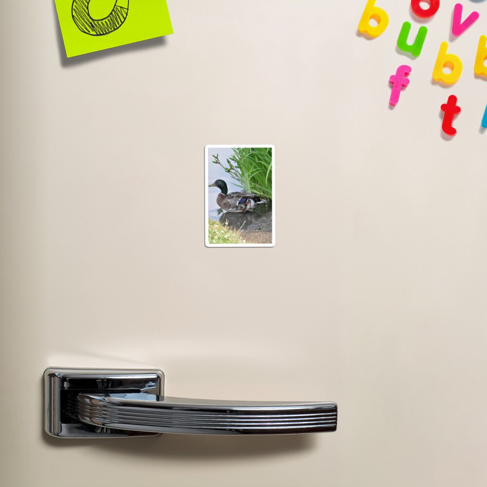 Item preview, Magnet designed and sold by cmcheng.
