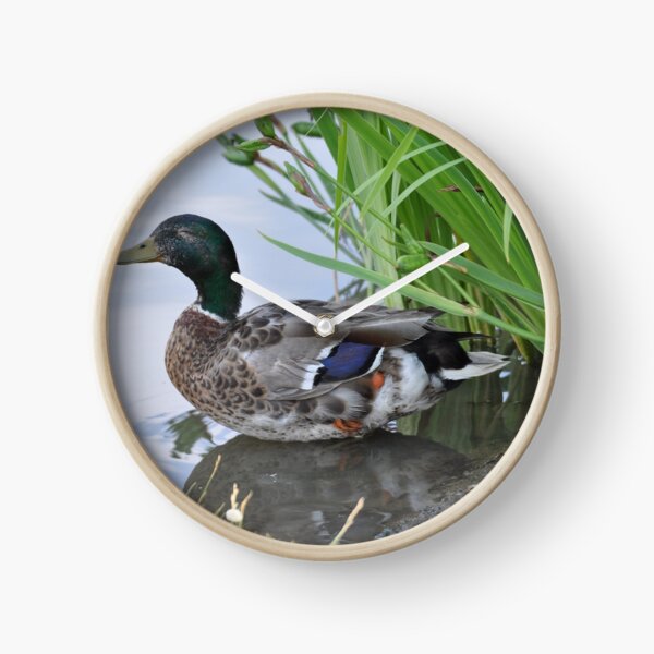 Item preview, duck designed and sold by cmcheng.