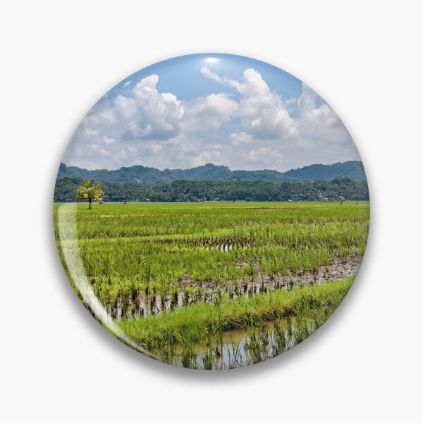 Item preview, Blue sky reflections on Indonesia's green rice paddies designed and sold by franck380.