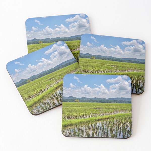 Item preview, Blue sky reflections on Indonesia's green rice paddies designed and sold by franck380.