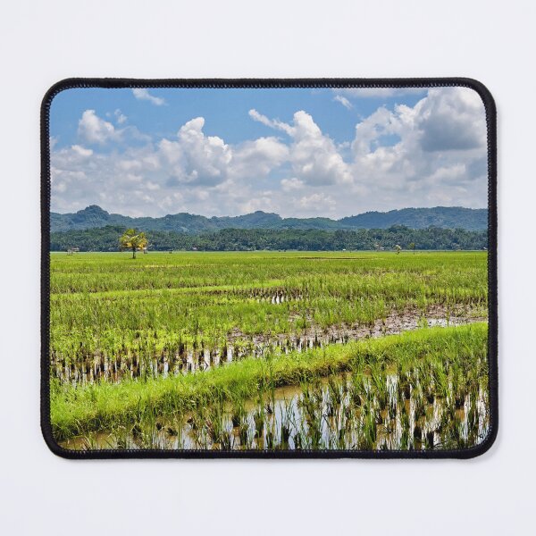 Item preview, Blue sky reflections on Indonesia's green rice paddies designed and sold by franck380.