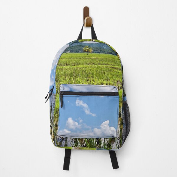 Item preview, Blue sky reflections on Indonesia's green rice paddies designed and sold by franck380.