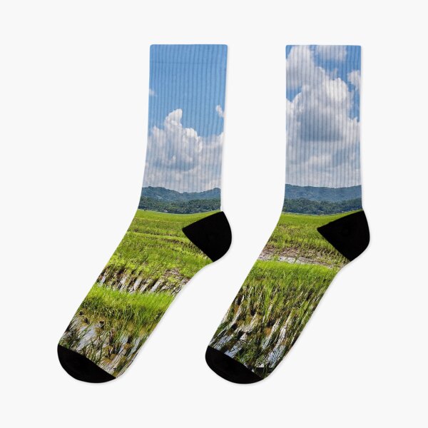 Item preview, Blue sky reflections on Indonesia's green rice paddies designed and sold by franck380.