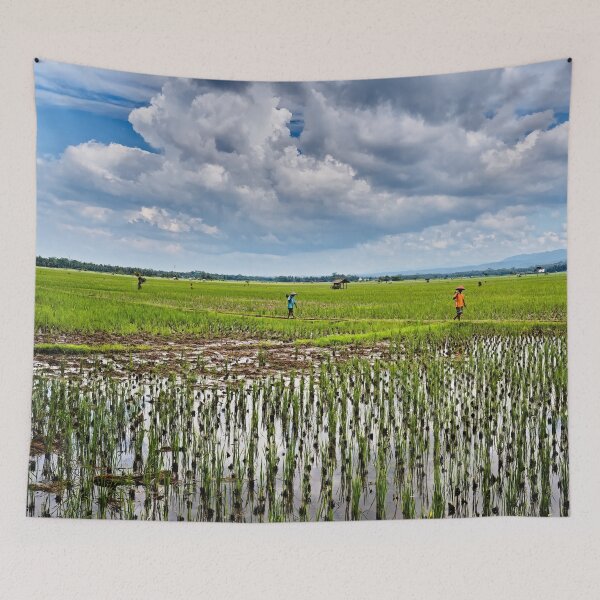 Item preview, Two Indonesian farmers walking through the vast rice fields of Pangandaran designed and sold by franck380.