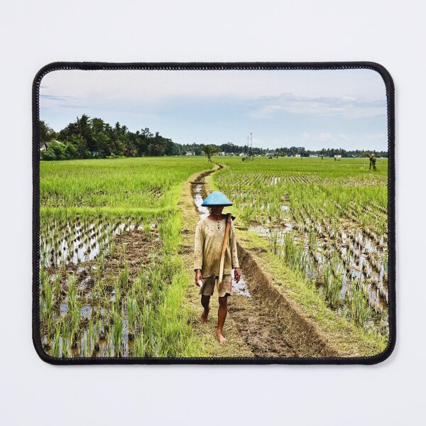 Item preview, Indonesian rural landscape with a farmer walking through flooded rice fields designed and sold by franck380.