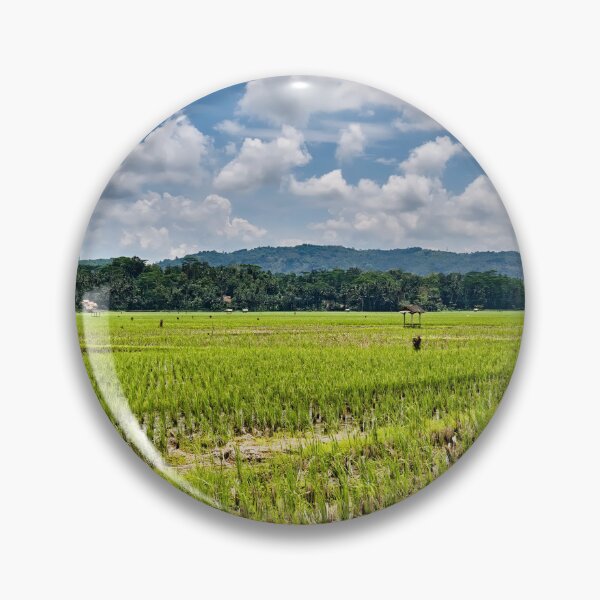 Item preview, Indonesian rural landscape: rice fields as far as the eye can see in Pangandaran designed and sold by franck380.