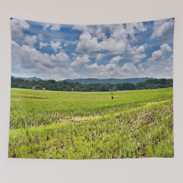Item preview, Indonesian rural landscape: rice fields as far as the eye can see in Pangandaran designed and sold by franck380.
