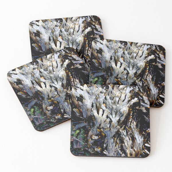 Item preview, Sea Art, Sea Weed, Toothed Wrack, Fucus Serratus, Sennen Cove, Cornwall designed and sold by CharlottePlaceArt.