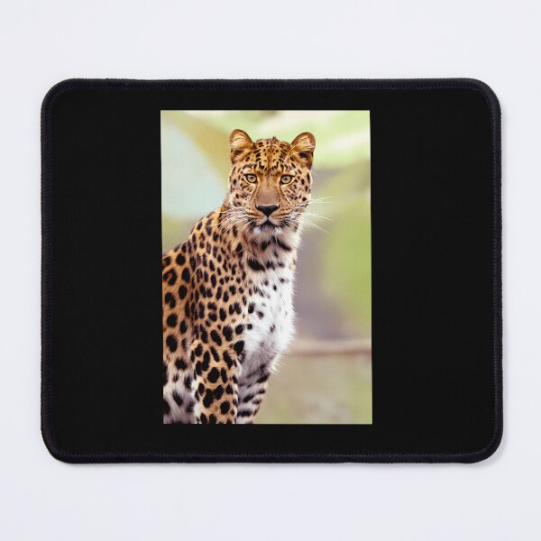 Item preview,  Leopard Photo Portrait designed and sold by Dravienart.